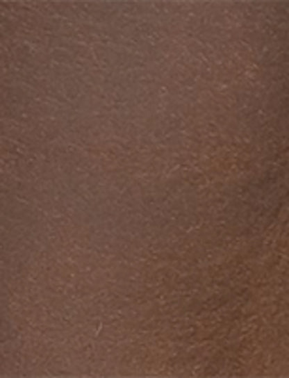 Women's Tan Harness 12R Boots