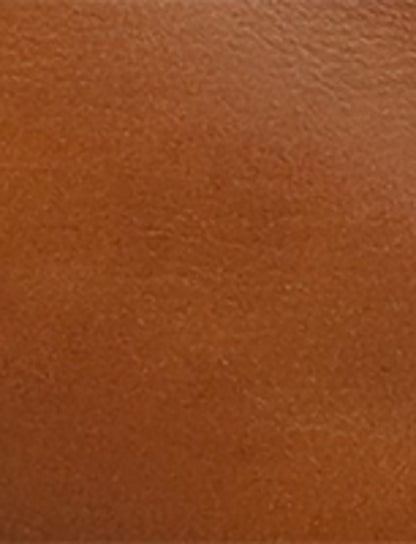 Women's Amber Billy Softy Tall Western Boot