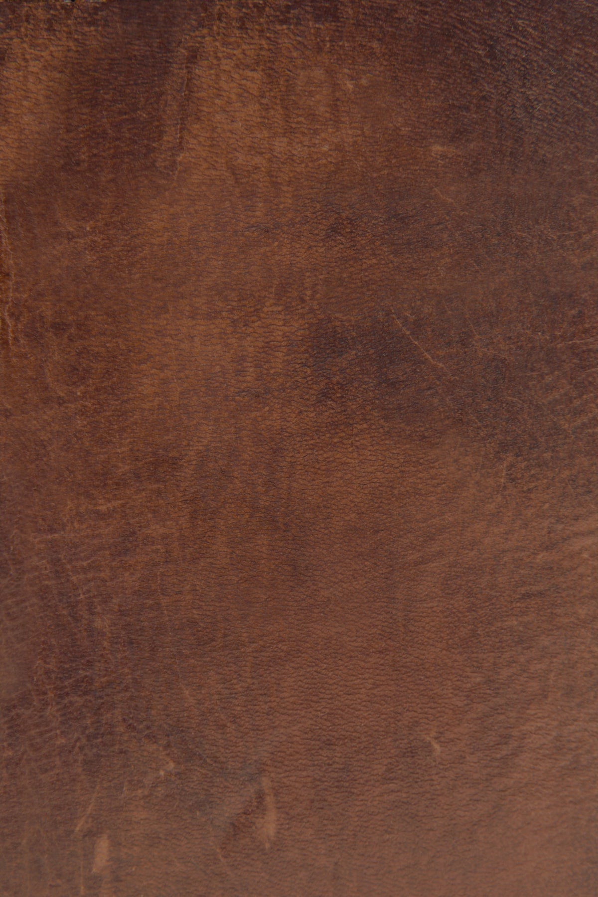 Melissa Cognac Zip Wallet