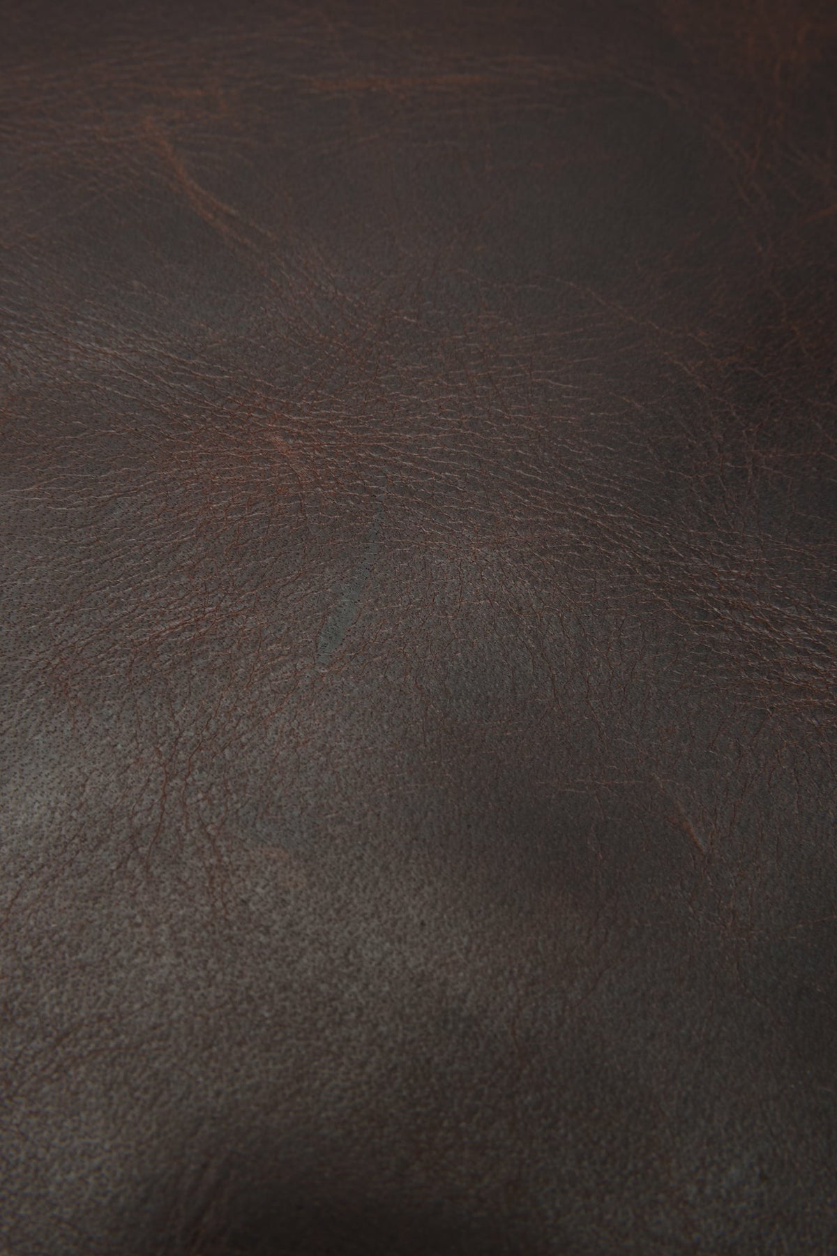 Logan Dark Brown Backpack